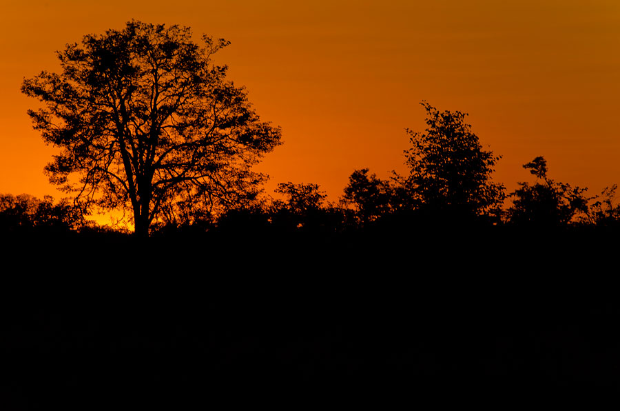 DSC_2394