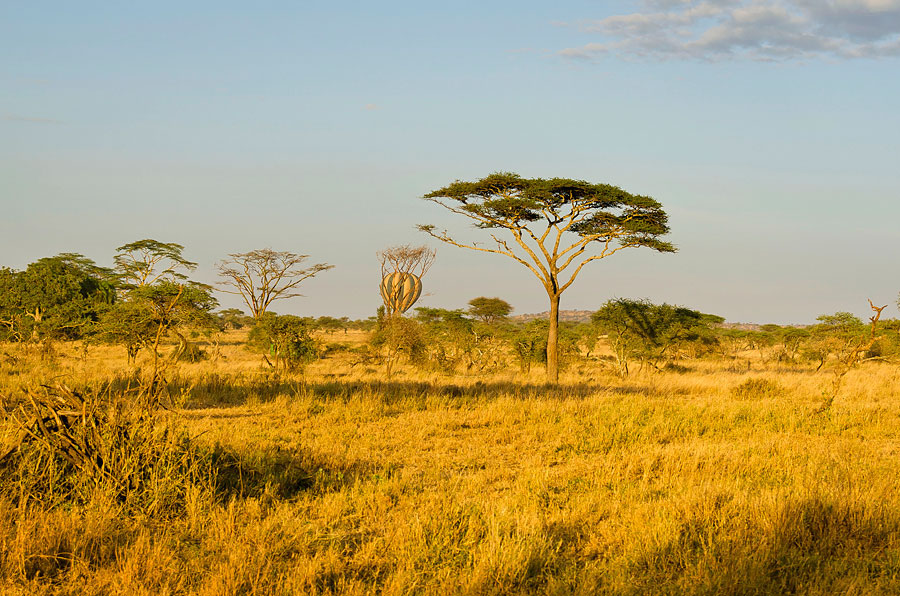 Tanzanie