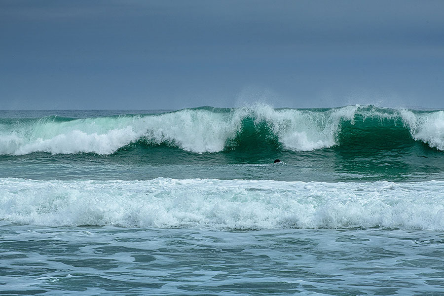 DSC_0866